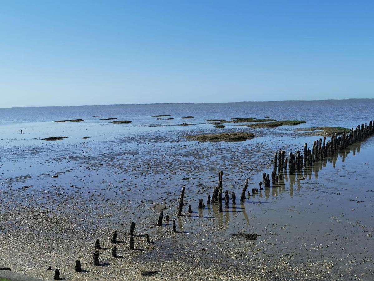 Kleinaberfein An Der Nordseekueste Schweindorf Buitenkant foto